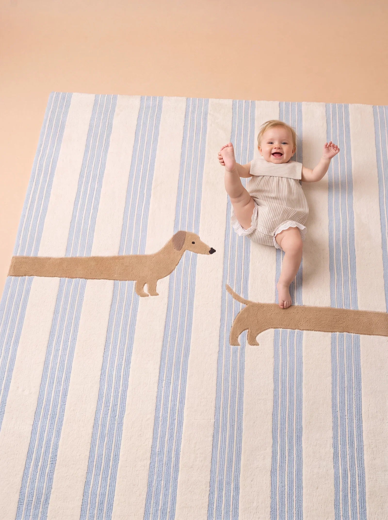 Little Forest Animals Silk Rug — The Dachshund