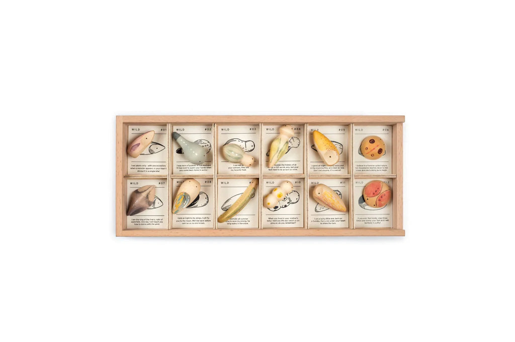 Grapat Wild Exploration Play Set